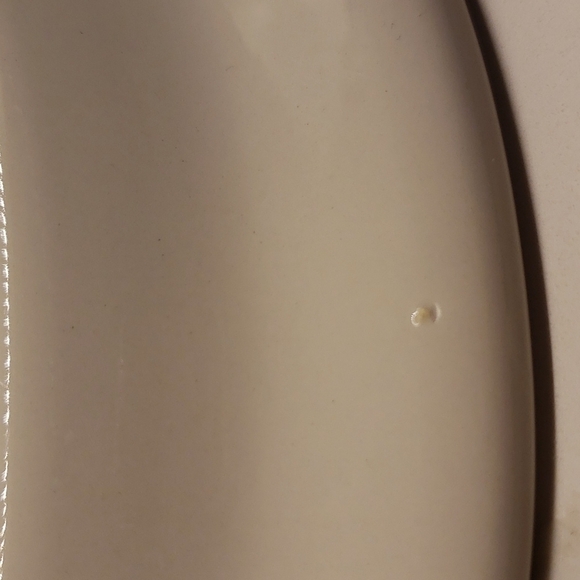 Portmeirion Birds of Britain Magpie Pica Pica Dinner Plate Green Band 1… - Picture 5 of 7